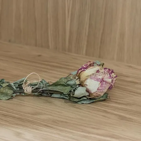 Dois Lagares House Bed & Breakfast Pinhão