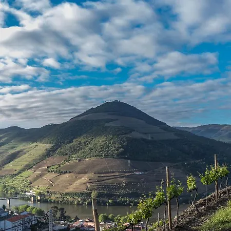 Dois Lagares House & Winery فندق مبيت وإفطار