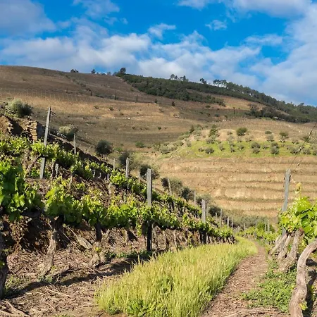 فندق مبيت وإفطار Dois Lagares House & Winery 4*