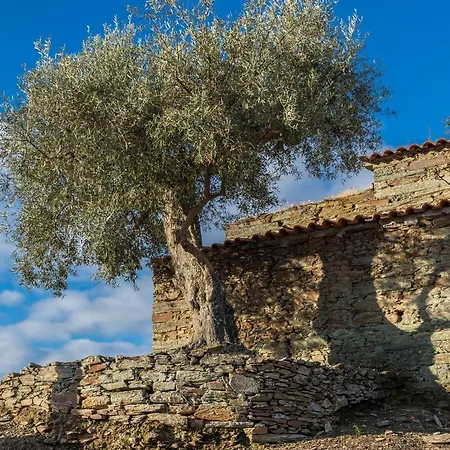 Dois Lagares House & Winery 4*