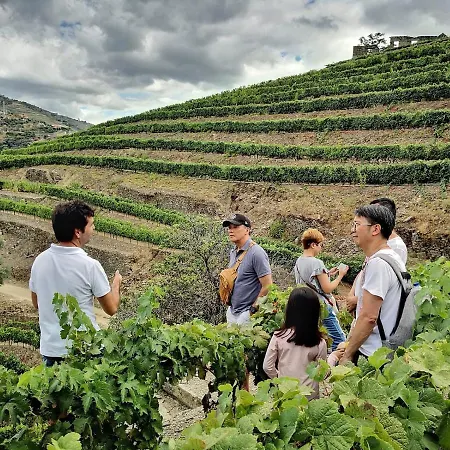 Dois Lagares House & Winery فندق مبيت وإفطار Pinhão