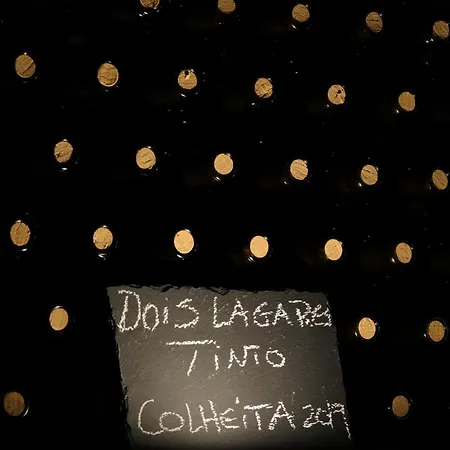 Dois Lagares House & Winery فندق مبيت وإفطار Pinhão