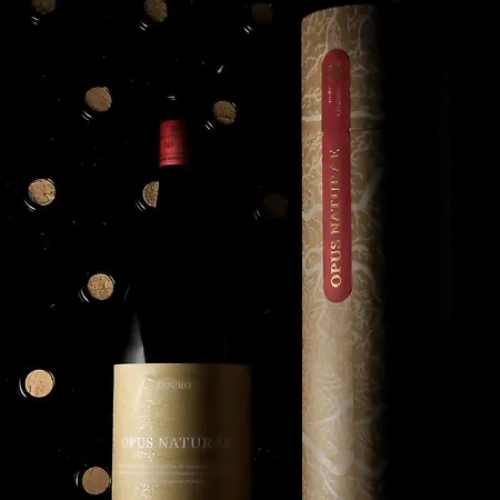 Dois Lagares House & Winery