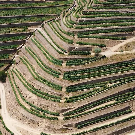 Dois Lagares House & Winery 4* ピニョン