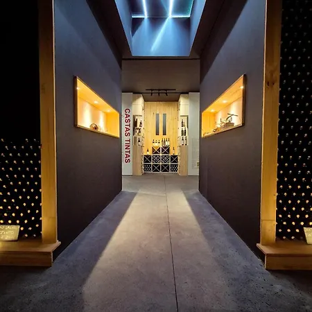 فندق مبيت وإفطار Dois Lagares House & Winery 4*