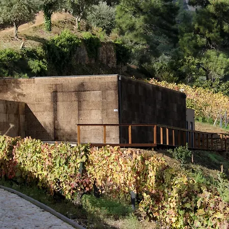 Dois Lagares House & Winery ベッド・アンド・ブレックファスト ピニョン