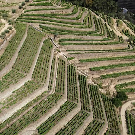 ベッド・アンド・ブレックファスト Dois Lagares House & Winery