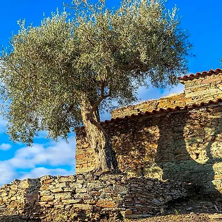 Dois Lagares House & Winery