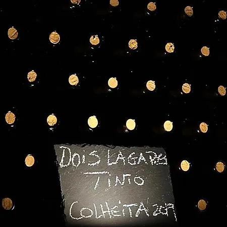 住宿加早餐酒店 Dois Lagares House & Winery 皮尼昂