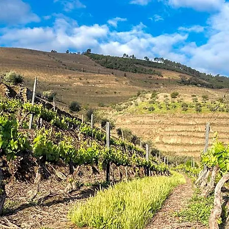 Dois Lagares House & Winery 4* 皮尼昂
