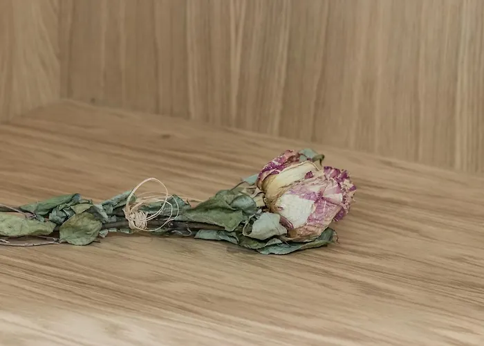 Dois Lagares House & Winery Bed & Breakfast Pinhão