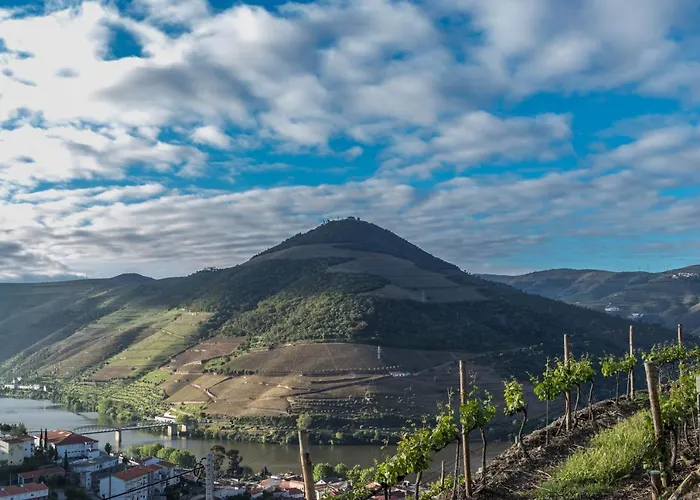 Dois Lagares House & Winery Bed & Breakfast