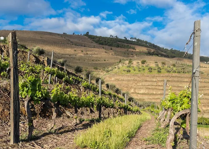 Bed & Breakfast Dois Lagares House & Winery 4*