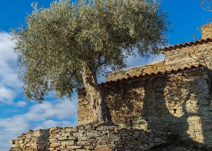 Dois Lagares House & Winery 4*