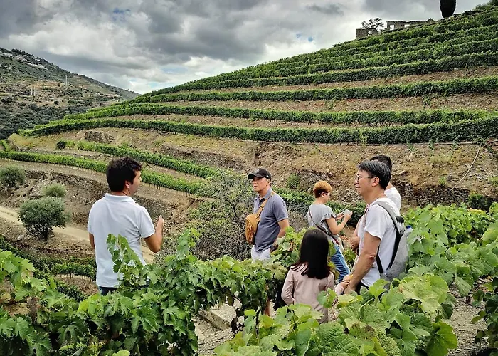 Dois Lagares House & Winery Bed & Breakfast Pinhão