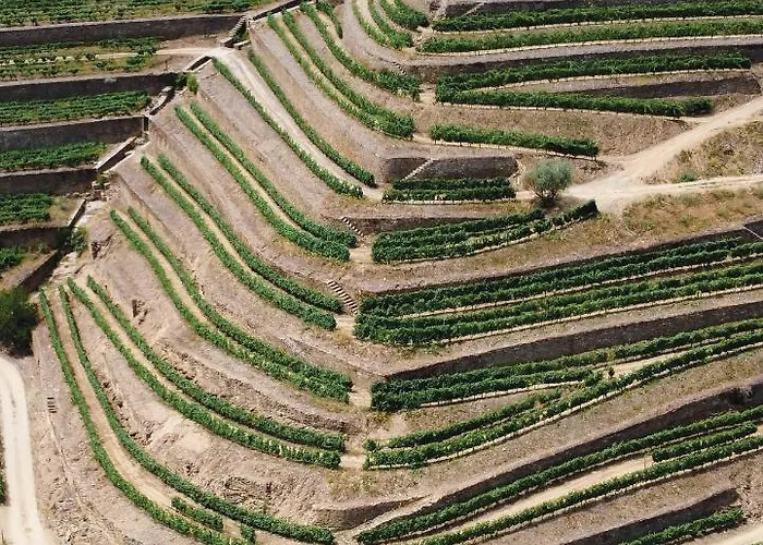 Dois Lagares House & Winery 4* Pinhão