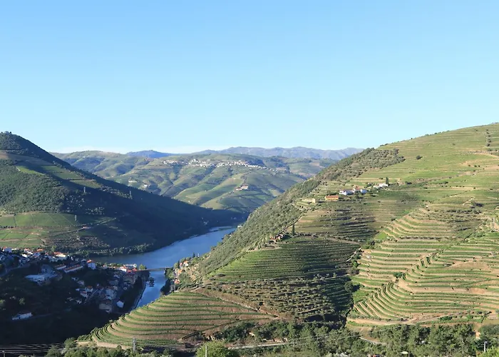 Bed & Breakfast Dois Lagares House & Winery