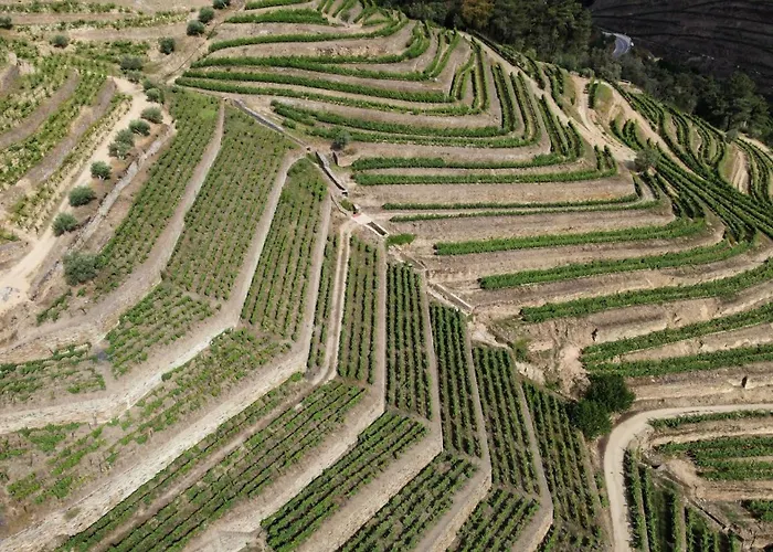 Bed & Breakfast Dois Lagares House & Winery